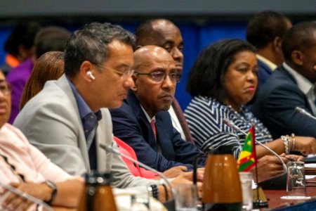 Special Meeting of CARICOM on COVID-19 (49605620848)