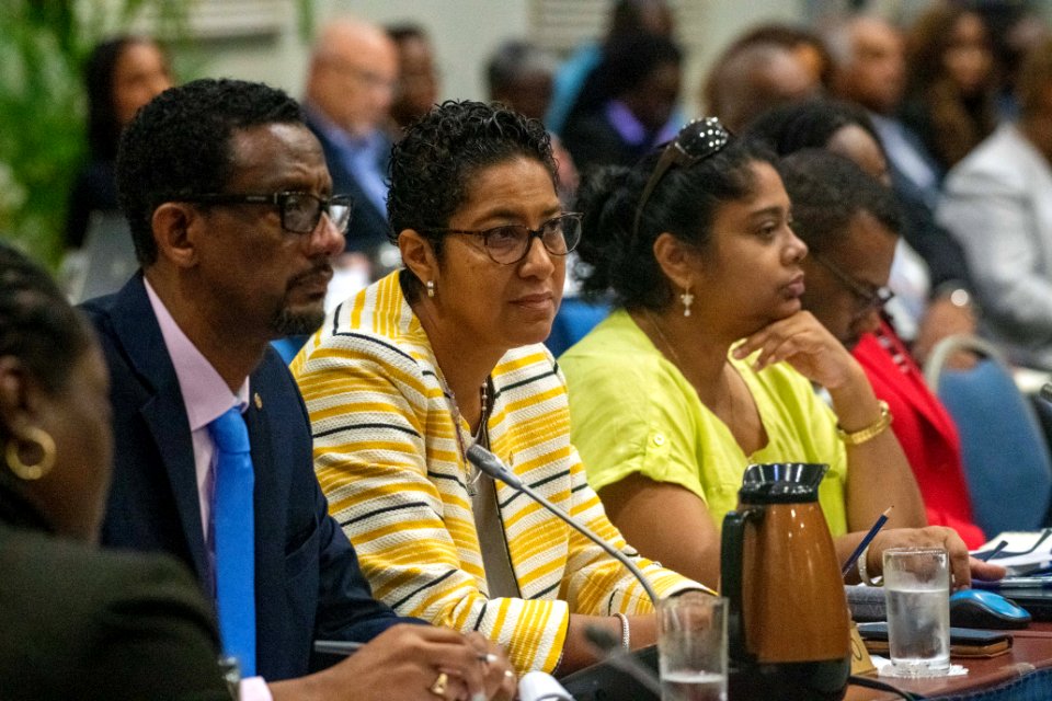 Special Meeting of CARICOM on COVID-19 (49606379737)
