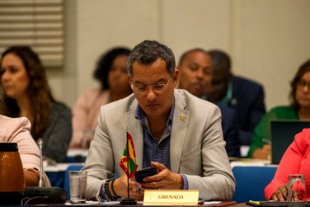Special Meeting of CARICOM on COVID-19 (49606381797)