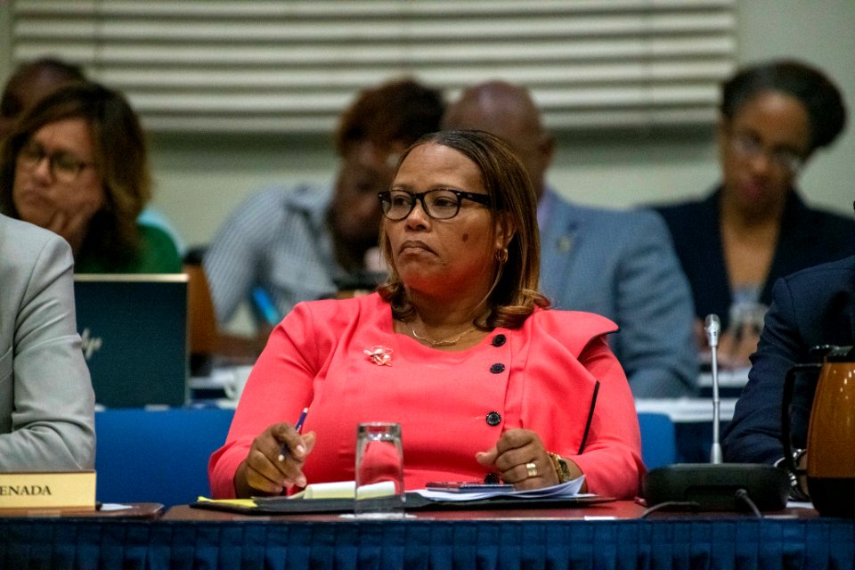Special Meeting of CARICOM on COVID-19 (49606371627)