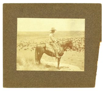 A Texas cowboy - photo by Erwin E. Smith, Bonham, Texas. LCCN2005676957