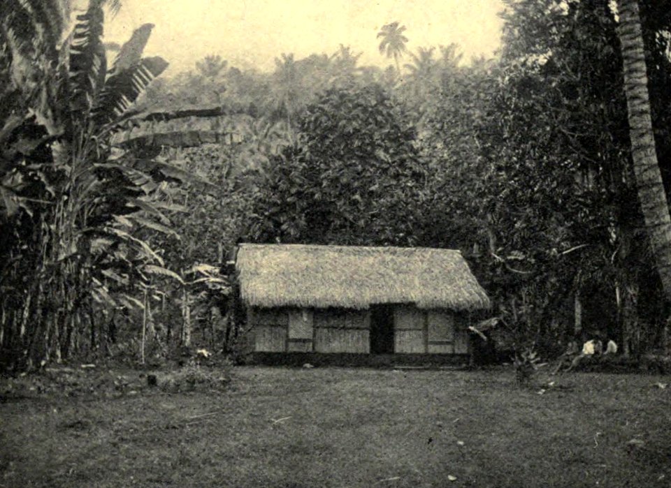 A Tahitian home, with breadfruit tree behind, by Clement Lindley Wragge