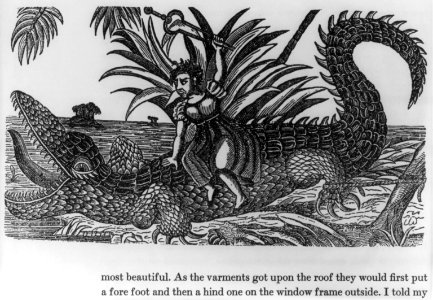 A tongariferous fight with an alligator LCCN2003663568