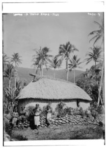 A Tonga Home - Fiji LCCN2014703185