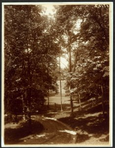 A turn in the road, Sagamore Hill LCCN2009633594