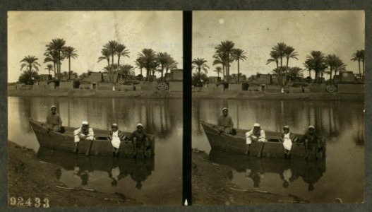A typical Egyptian village in the Nile Valley LCCN2004672940