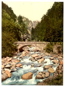 A View in the valley, Wehrathal, Black Forest, Baden, Germany-LCCN2002713559