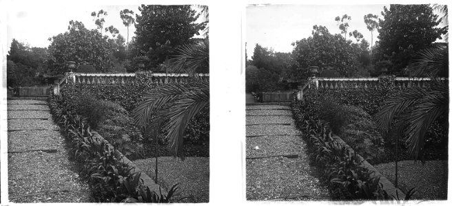 A uns jardins de Sant Boi de Llobregat