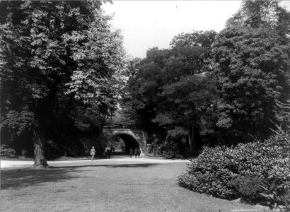 A view in Prospect Park, Brooklyn, New York City LCCN96512472