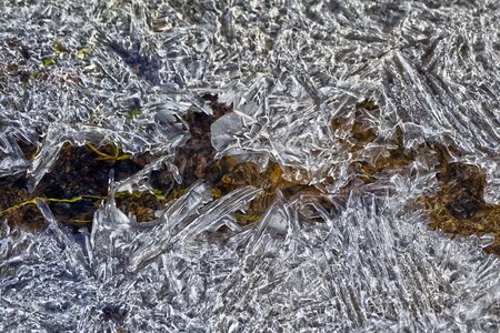 Frozen creek frost