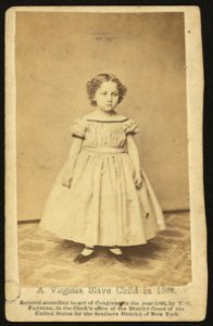 A Virginia slave child in 1863 - Van Dorn, photograph artist, 285 Fulton St., Brooklyn. LCCN2010647900