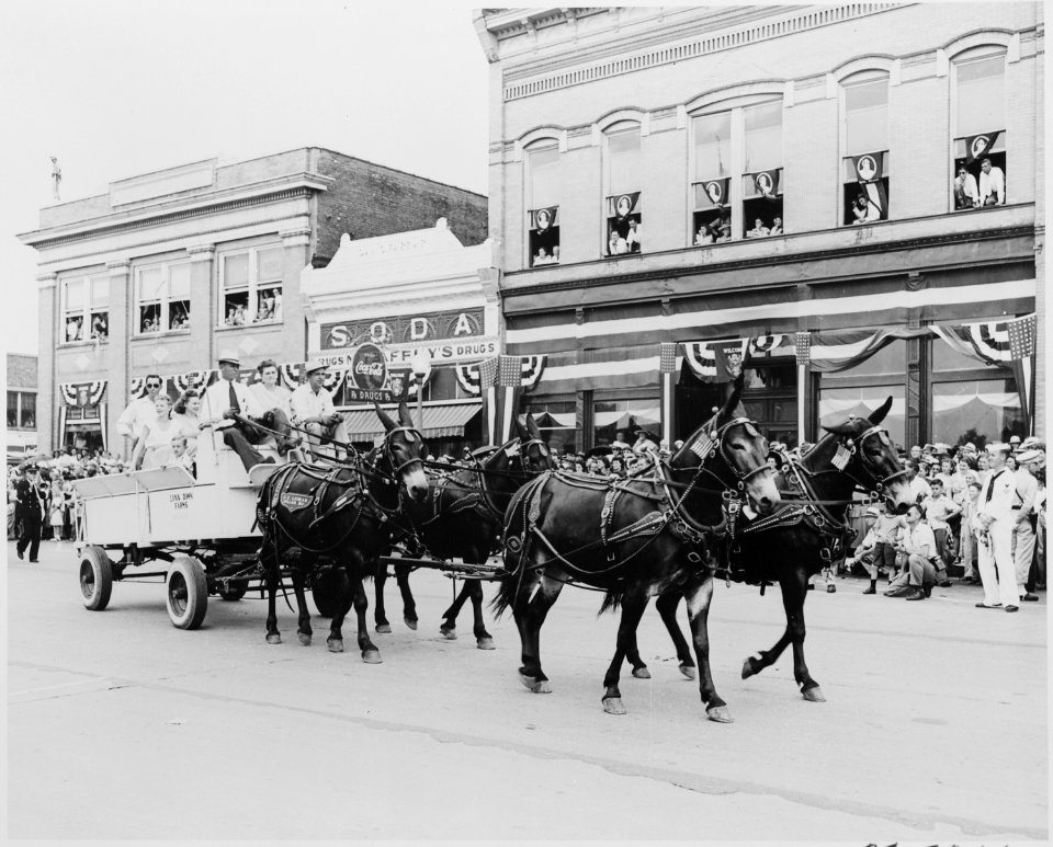 A wagon pulled by four mules, passing before a reviewing stand (not visible) on which President Harry S. Truman was... - NARA - 199902