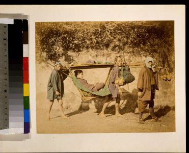 A woman riding in a palanquin LCCN2009632878