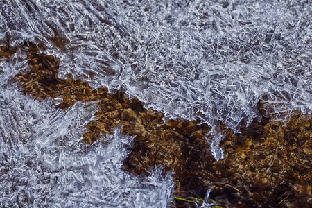 Frozen creek frost photo