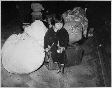 A young evacuee of Japanese ancestry waits with the family baggage before leaving by bus for an assembly center... - NARA - 539959