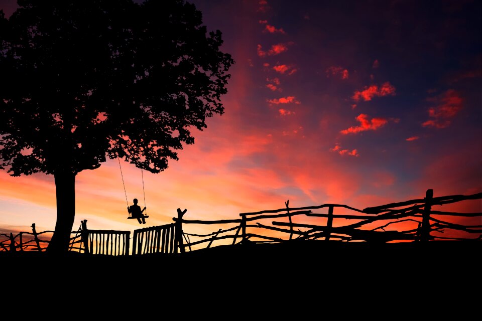 Dusk sun silhouetted photo