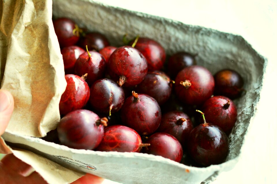 Fruit berries vitamins