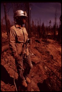 A-cat-skinner-works-in-post-fire-salvage-operations-caterpillar-tractors-are-used-to-haul-logs-to-landing-area-seen-here-where-they-are-loaded-onto-trucks-september-1973 7007007530 o