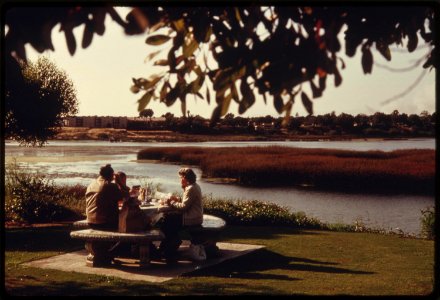 A-family-enjoys-a-picnic-beside-the-buena-vista-lagoon-june-1975 7158926136 o