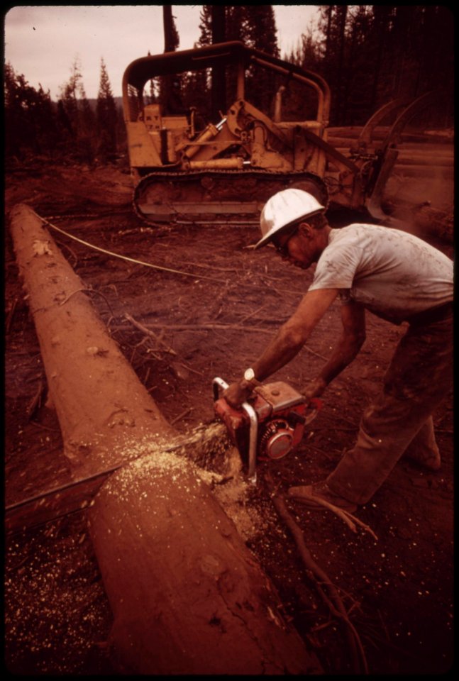 A-cat-skinner-works-in-post-fire-salvage-operations-caterpillar-tractors-are-used-to-haul-logs-to-landing-area-seen-here-where-they-are-loaded-onto-trucks-september-1973 7153093517 o