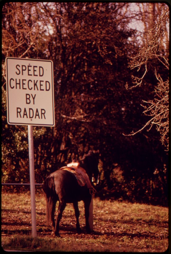 A-saddled-horse-stands-next-to-a-radar-sign-and-waits-for-its-rider-during-the-energy-crisis-121973 4272494118 o