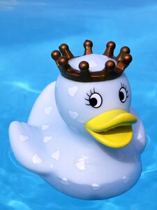 Swim funny summer queen