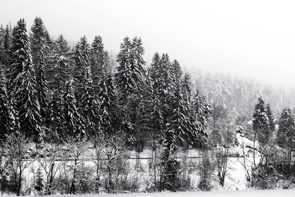 No person winter season