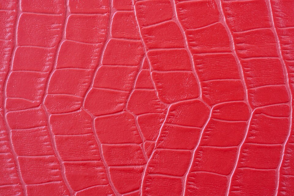 Snake texture abstract