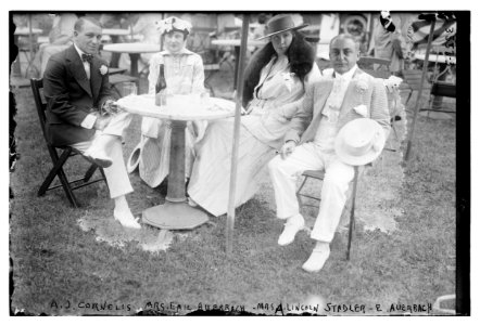 A.J. Cornelis (i.e., Cornelius), Mrs. Emil Auerbach, Mrs. A. Lincoln Stadler, E. Auerbach LCCN2014699563