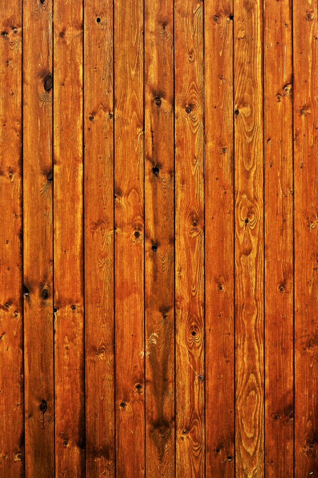 Profile wood branches spruce