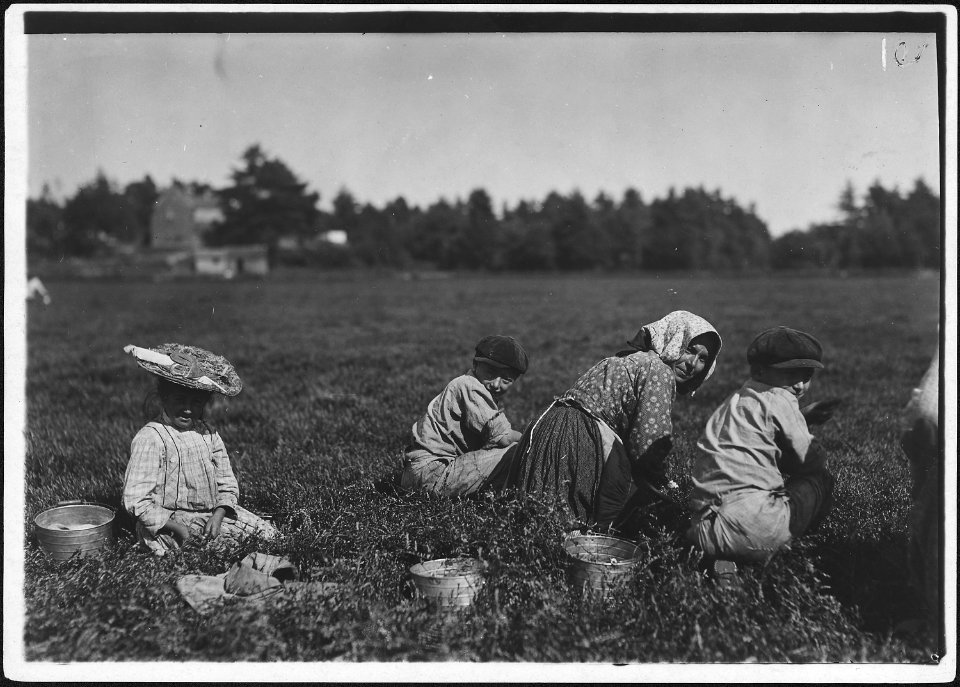 Abbe, 10 years old who picks 10 pails a day. Also two young Italian illiterates. Rochester, Mass. - NARA - 523470