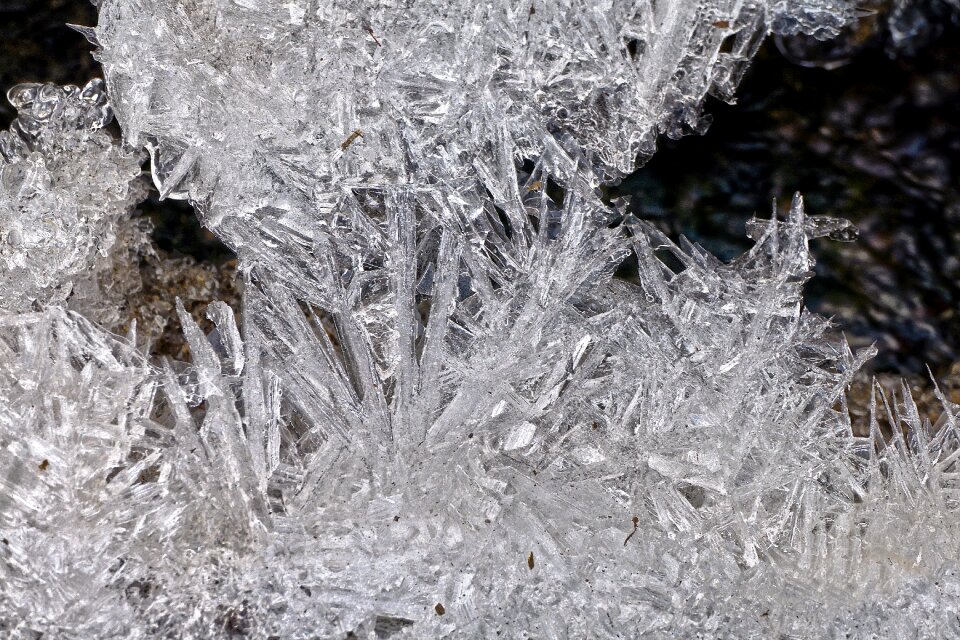 Frozen creek frost photo