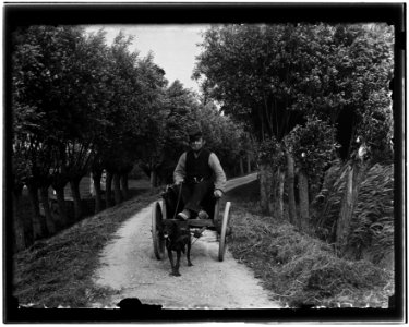 Abcoude, foto 18 Jacob Olie (max res)