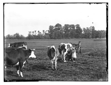 Abcoude, foto 58 Jacob Olie (max res)