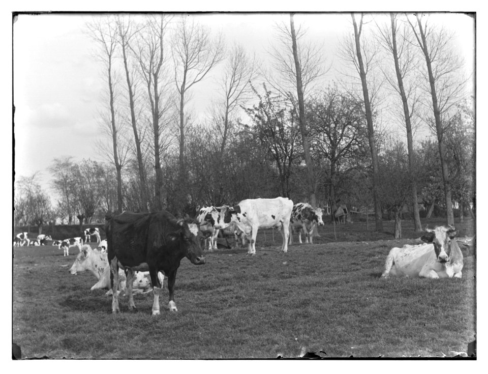Abcoude, foto 44 Jacob Olie (max res)