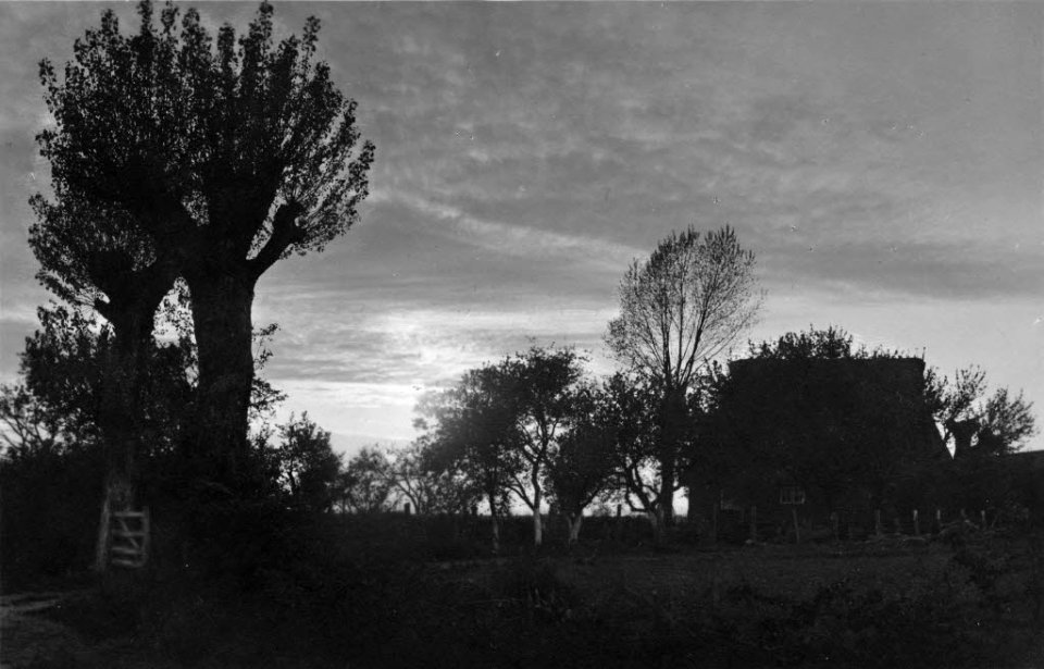 Abendstimmung am Schlüsbeker Moor (Kiel 70.288)