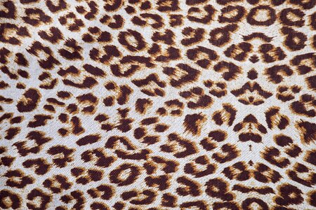 Spotted fabric textile