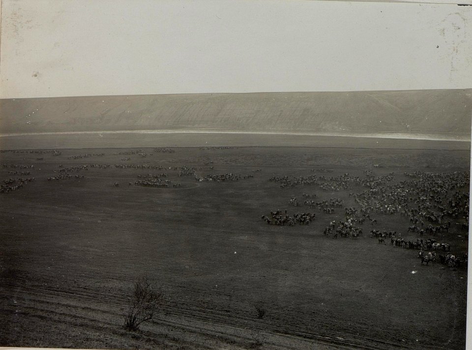 Abgesessene Kavallerie des Husaren Regiments Nro. 7 und 8 in DOROSCHOUTZ. (BildID 15448472)