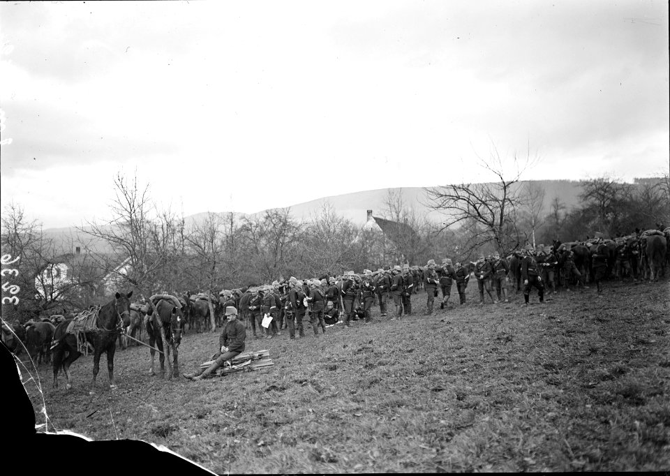 Abgesessenes Kavallerie Regiment - CH-BAR - 3239304