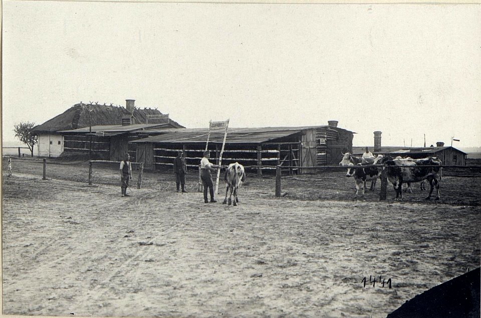Abildung von Infrastruktureinrichtungen, Betrieben und Fabriken am russischen Kriegsschauplatz (BildID 15687288)
