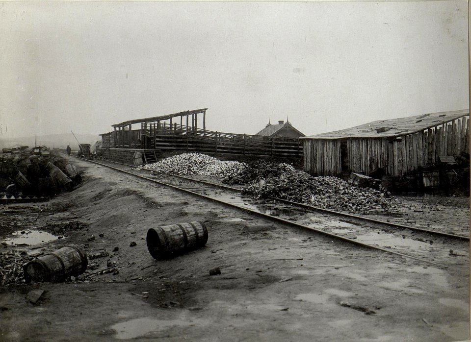 Abildung von Infrastruktureinrichtungen, Betrieben und Fabriken am russischen Kriegsschauplatz (BildID 15689241)