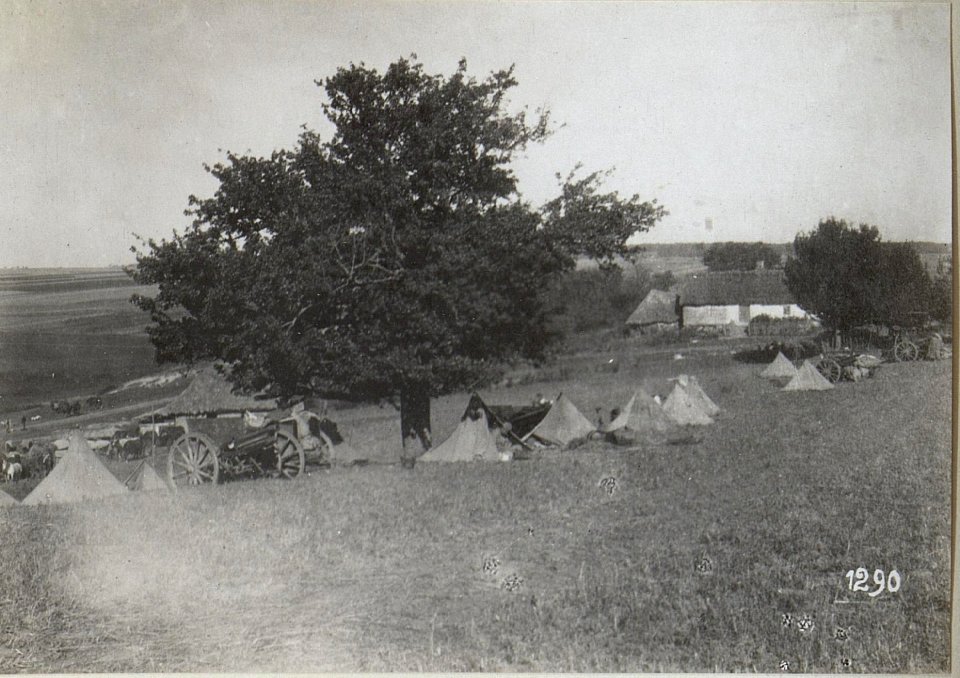 Abildung von Waffen am russischen Kriegsschauplatz (BildID 15685928)