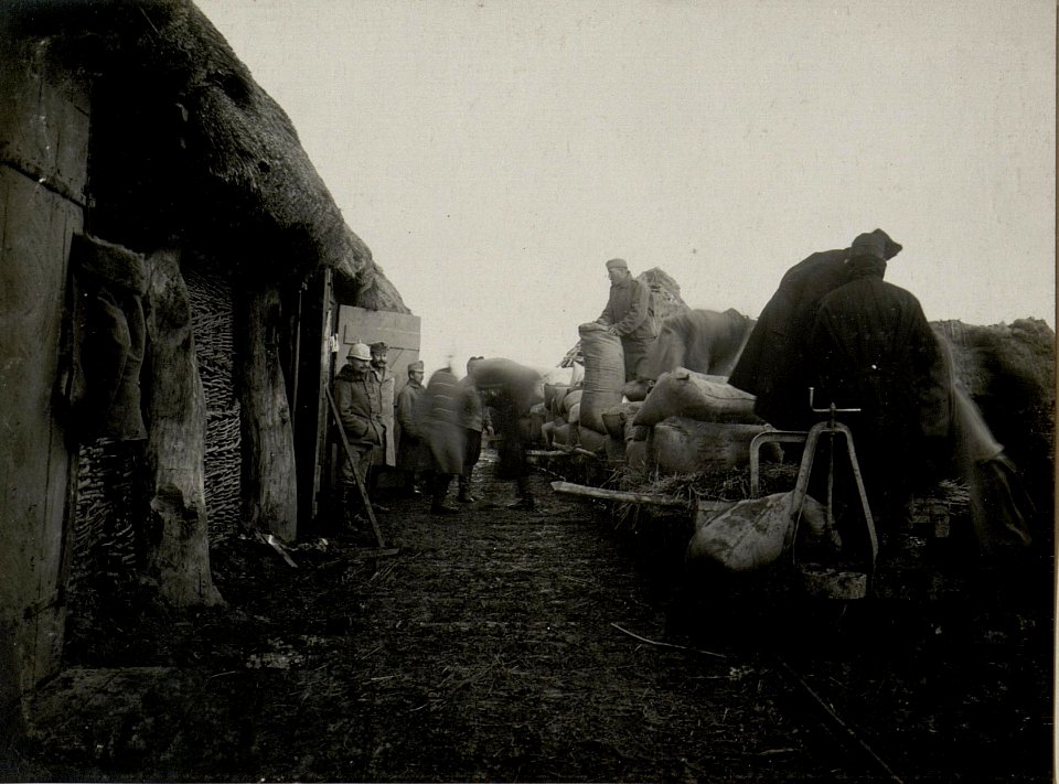 Abladen von Proviant am Feldbahnhof Ostrozec, 28.I.1916 (BildID 15541400)