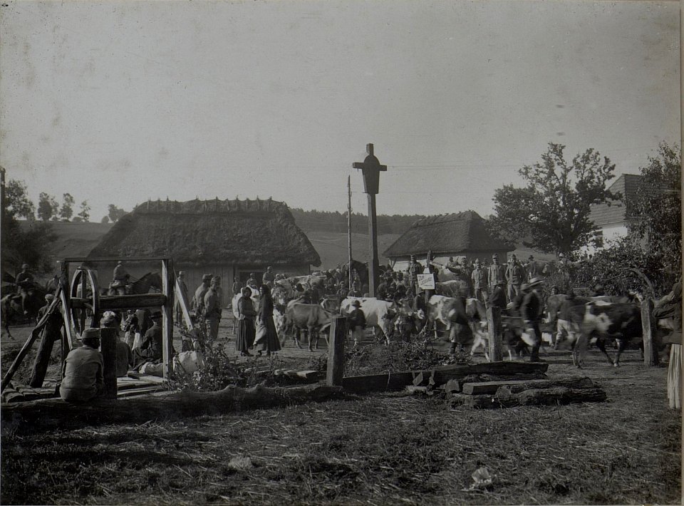 Abmarsch der Evakuierten in PANOWICE am 13.VIII.1916. (BildID 15451060)