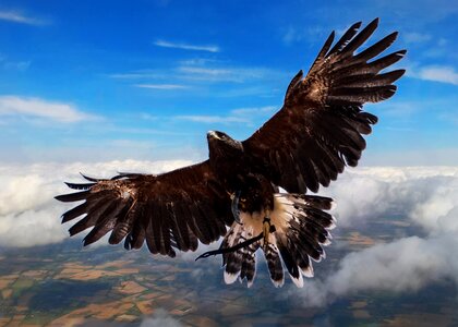 Clouds flying high high flyer