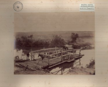 ABN 10729