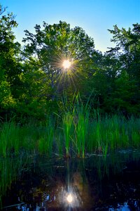 Sunlight water nature