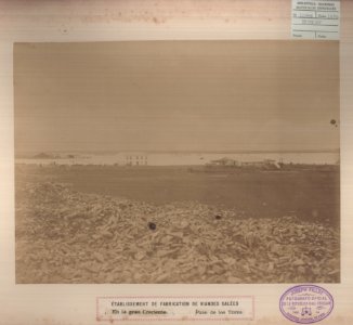 ABN 10948