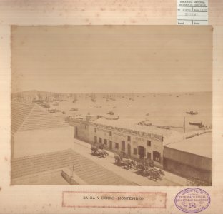 ABN 10959