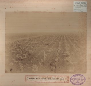 ABN 10960